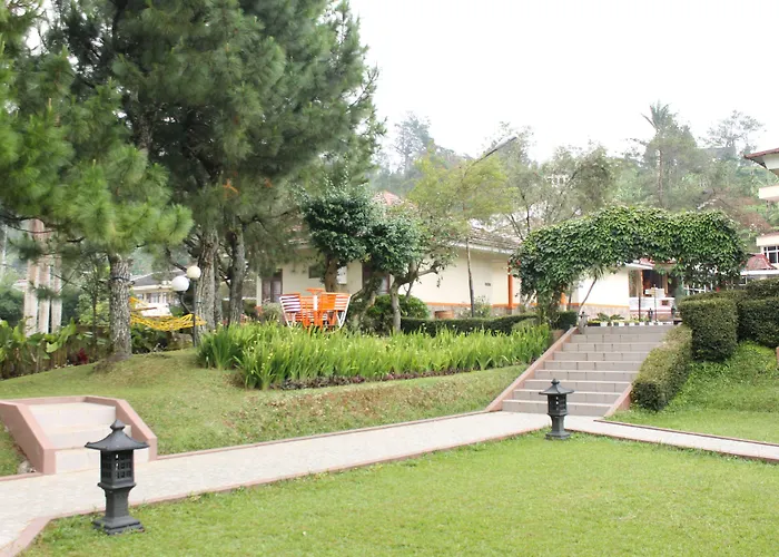 Arra Lembah Pinus Ciloto